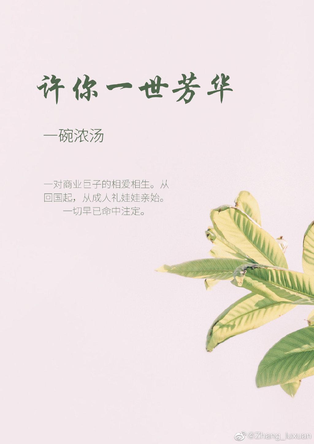 许你一世芳华