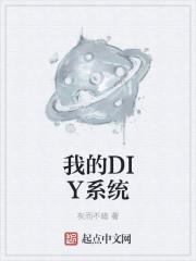 我的DIY系统