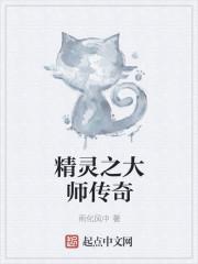 精灵之大师传奇