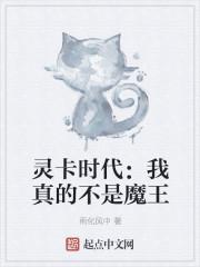 灵卡时代：我真的不是魔王