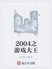 2004之游戏大王