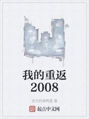 我的重返2008