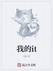 我的it