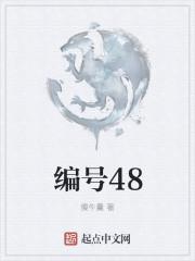 编号48