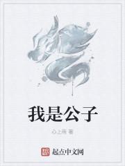 我是公子