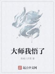 大师我悟了