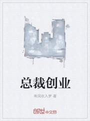 总裁创业